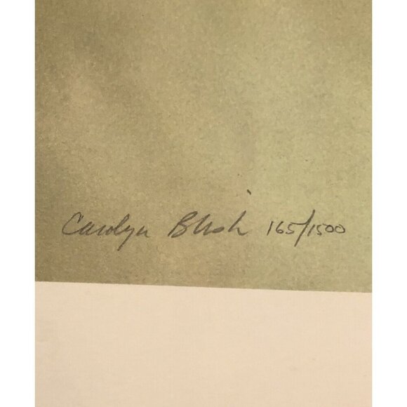 32"x22" Limited Edition Signed Numbered PRINT Last Leaves by CAROLYN BLISH 1980 - Picture 8 of 9